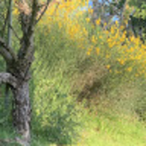 Meet your Posher, Dee - Picture 1 of 1